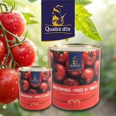 Dubbelgeconcentreerde tomatenpuree van Qualité d'Or